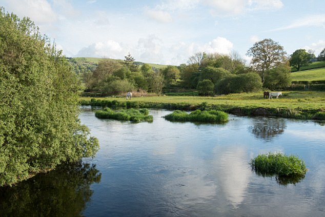 Farm improvement works in full swing on the River Teifi